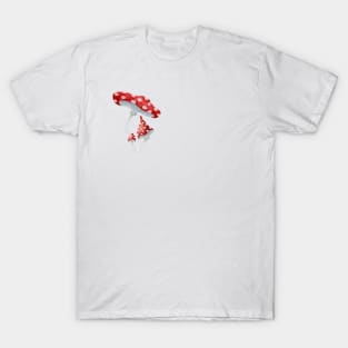 Mushroom Master Fly Agaric T-Shirt